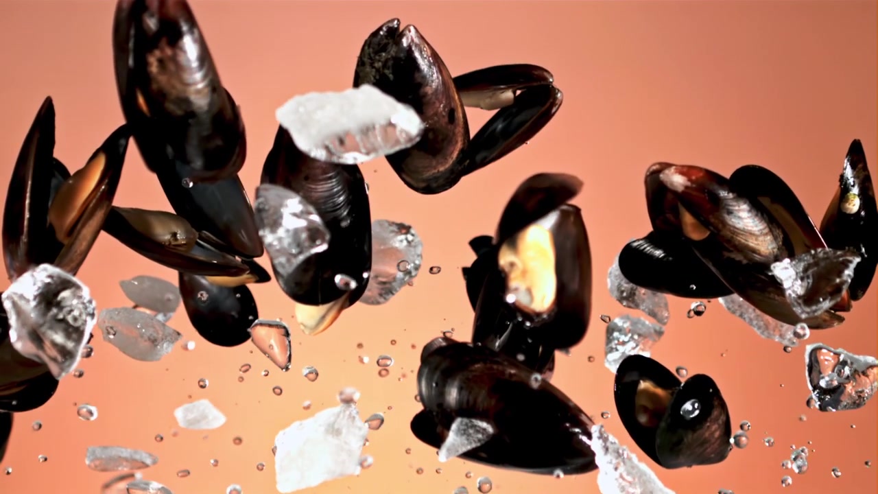 Fresh Mussels and Ice Cubes Falling in Slow Motion