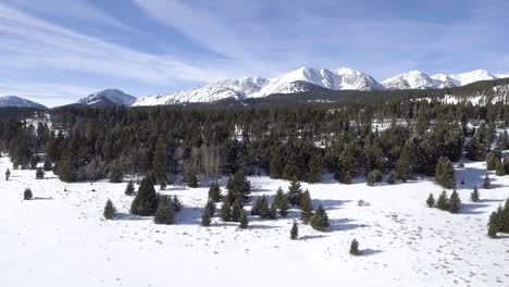 Camiones-Con-Cámara-Dejados-Justo-Encima-De-Los-árboles-Que-Muestran-Montañas-Cubiertas-De-Nieve-En-La-Distancia