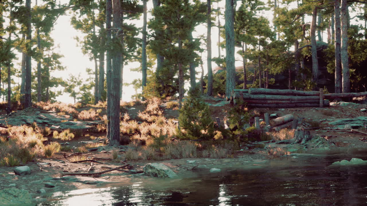 escena tranquila del bosque con un arroyo
