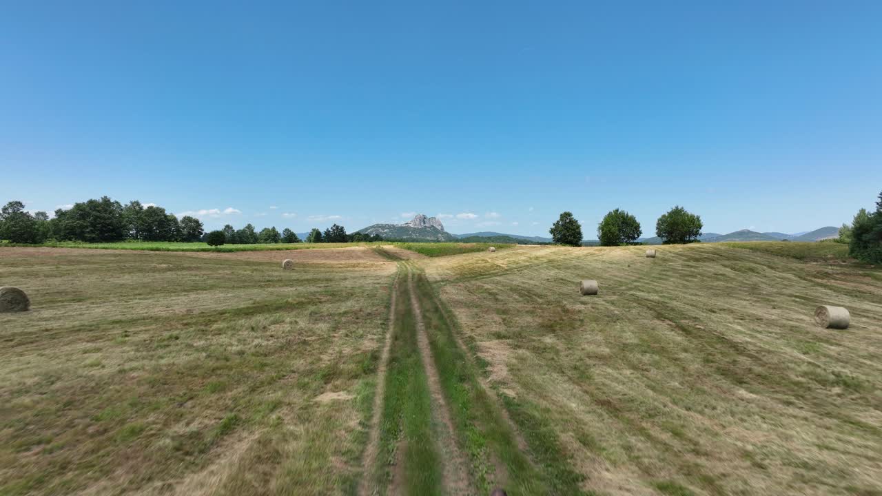 Low aerial flies rising above farmers walking along green field with parallel rows of crops and distant trees under a bright, clear sky
