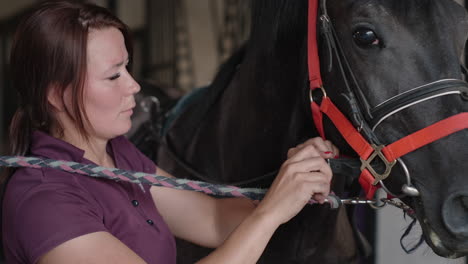 woman preparing horse for riding