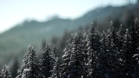 Wunderschöne-Winterlandschaft-In-Den-Bergen