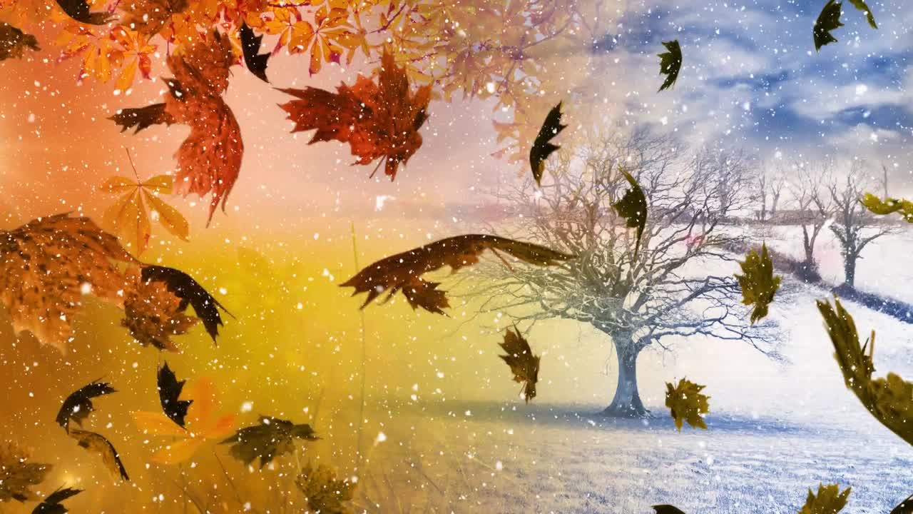 벌거벗은 나무와 날아다니는 잎으로  ⁇ 에 떨어지는 크리스마스 눈의 애니메이션