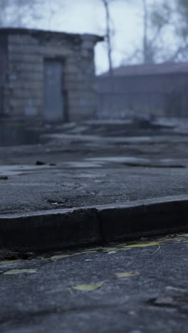 a foggy street