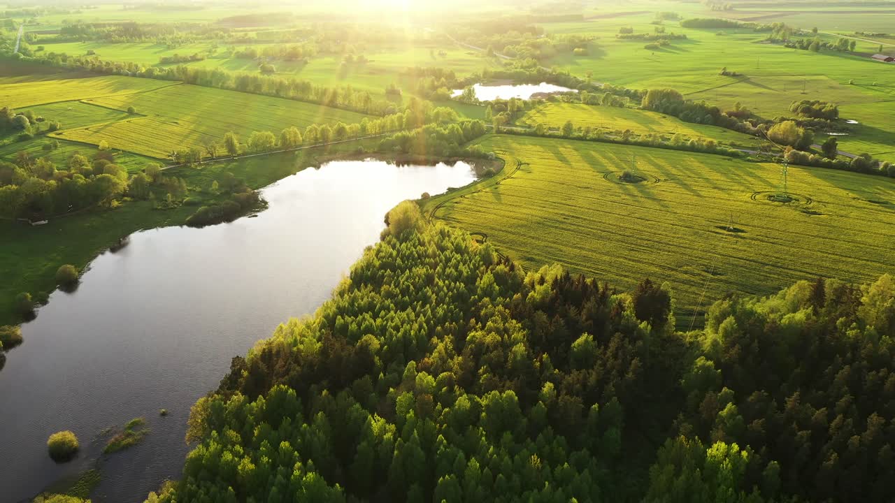 желтые рапсовые поля и водоемы с величественным солнечным светом, вид с воздуха