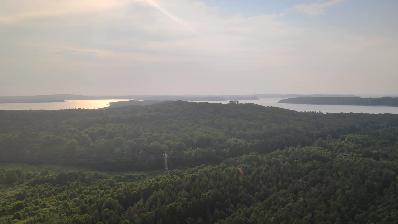 Drone shot over the lush forests of Rügen, capturing treetops, power lines, and the iconic treetop walk with the Baltic Sea in the background.