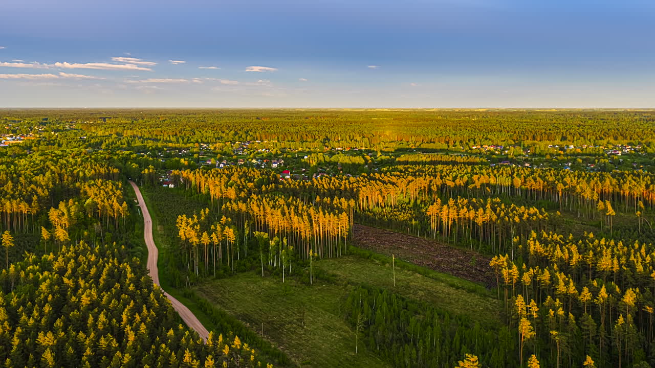 A static aerial timelapse captures changing light of a golden sunset casting long shadows and warm glow over a vast pine forest, winding dirt road, and distant village in the Latvian countryside.