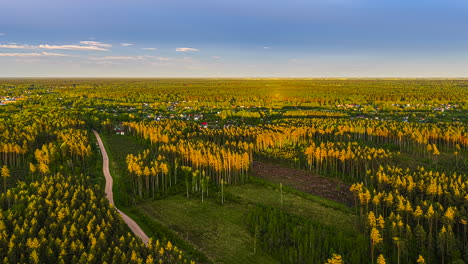 a static aerial timelapse captures changing light of a golden sunset casting long shadows and warm glow over a vast pine forest, winding dirt road, and distant village in the latvian countryside.