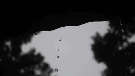 rain water droplets falling from rooftop after rainstorm in silhouette background with slow motion looking upward