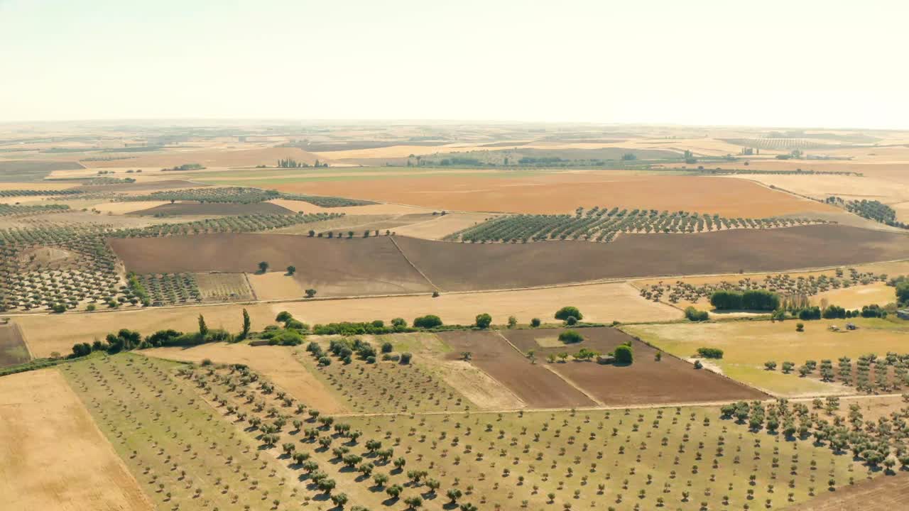 Aerial View of Olive Groves and Farmland in the Spanish Countryside
