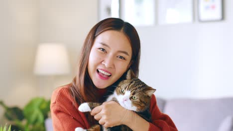 젊은 아시아 여성과 그녀의 애완동물, 고양이 페이스타임에서 대화, 집에서 비디오 통화, 카메라 웹캠 보기