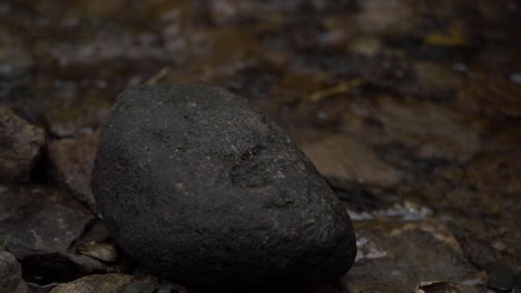 Rock-with-natural-stream-in-background-close-up-shot