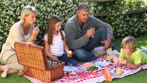 Familienpicknick-Auf-Dem-Rasen