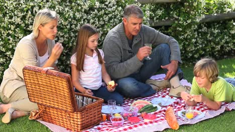 picnic familiar en el césped