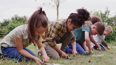 group of children on outdoor camping trip learning how to make fire