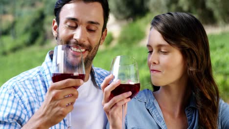 pareja bebiendo vino en la granja