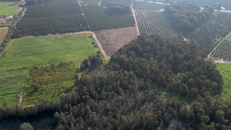 Video-De-Drones-4k-Del-Estanque-De-Invierno-Rehovot,-La-Vida-Aislada-De-La-Temporada-De-Lluvias,-Rehovot-Israel