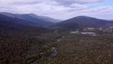 Vasto-Bosque-Con-Arroyo-Estrecho-En-El-Parque-Nacional-Kosciuszko,-Nueva-Gales-Del-Sur,-Australia