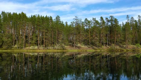 Vista-Aérea-Del-Lago-Y-El-Bosque-En-Finlandia.-Hermosa-Naturaleza-De-Finlandia.