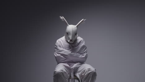 a person in a restraint with a rabbit mask