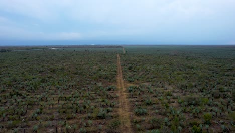 Luftaufnahme-Einer-Riesigen-Henequen-Plantage-In-Yucatan,-Mexiko-Während-Eines-Sturms