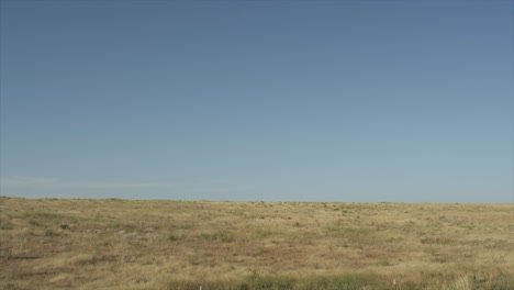 dry desert rocky grassland landscape. static shot of desolate scene