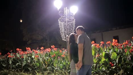 romantic night kiss under a lit street lamp in a flower garden