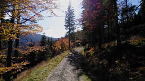 Impresionantes-Fotografías-De-La-Naturaleza-En-Amante-De-Silesia