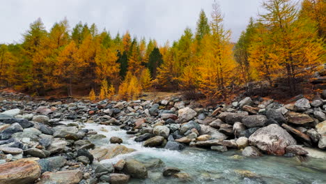 Saas-Fee-Zermatt-Saastal-Alpin-Tal-Schweiz-Gletscher-Wasser-Gletscher-Fluss-Schweizer-Alpen-Bunt-Gelb-Herbst-Fallen-Lerche-Baum-Farben-Dramatisch-Neblig-Launisch-Grau-Nebel-Neblig-Regnerisch-Tag-Statische-Aufnahme