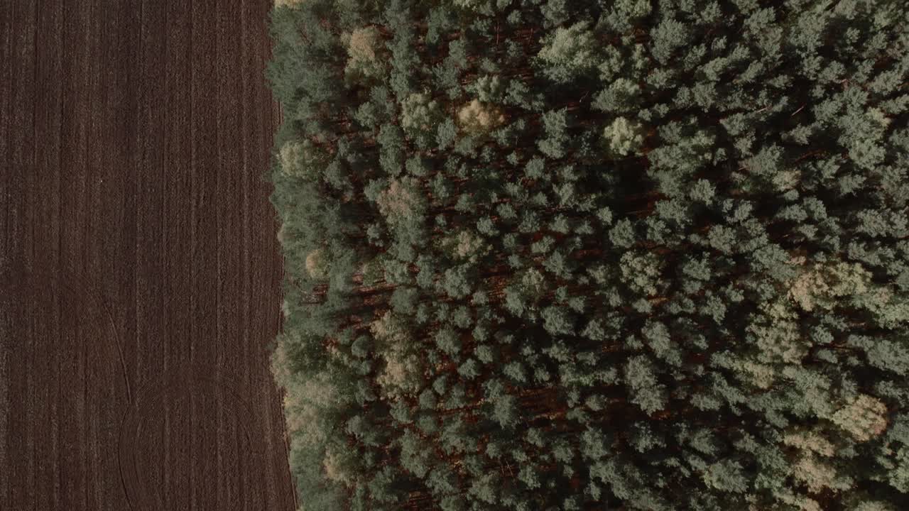 Drone footage shows dense conifer forest bordering a freshly plowed agricultural field, creating a strong natural pattern and contrast in the Ural Mountains, Russia