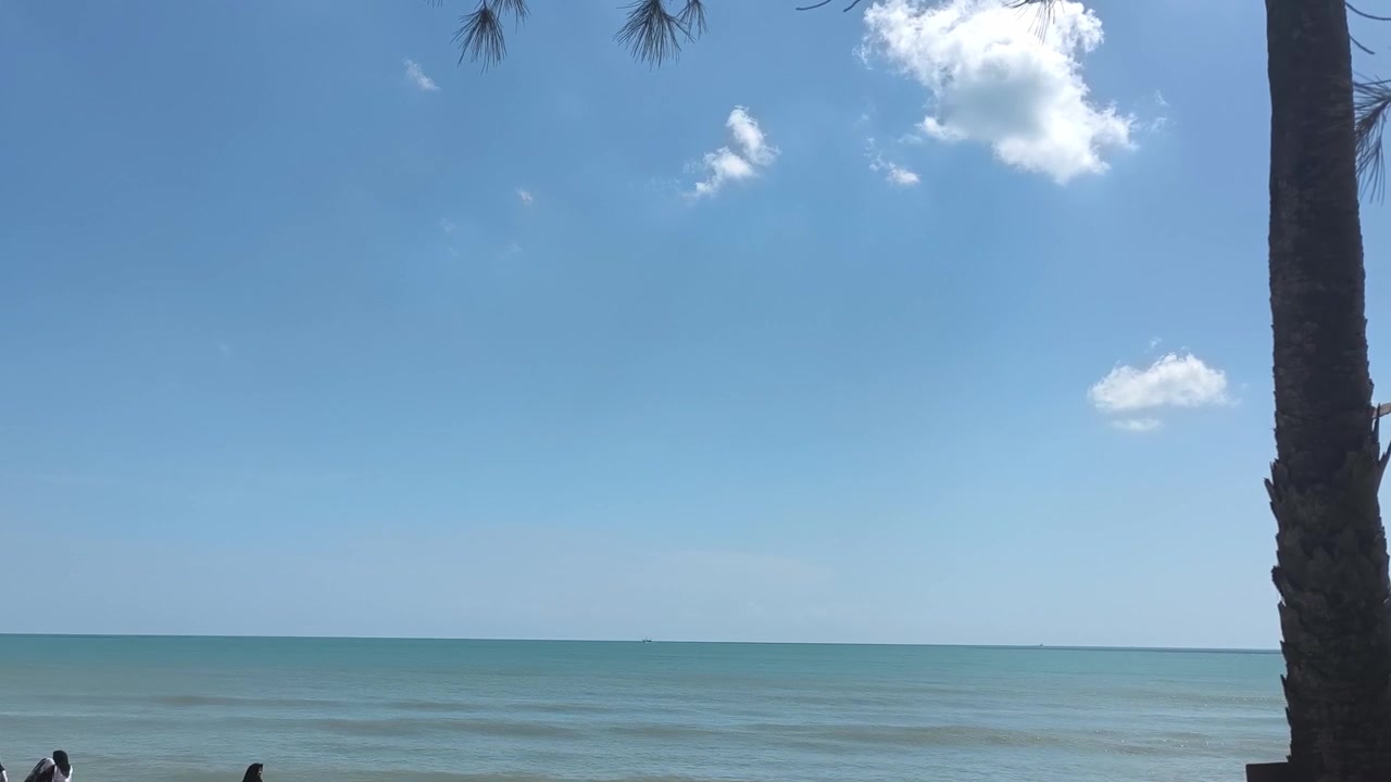 Scena di spiaggia tropicale calma con cielo blu e palma