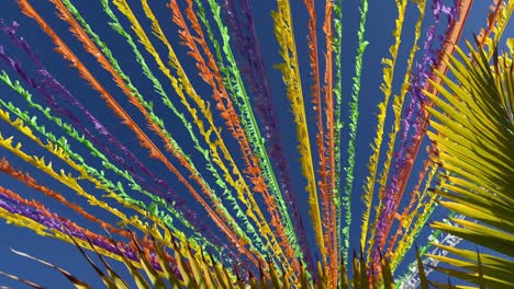 multicoloured ribbons decorating the street in front of the blue sky and palm leaves. 4k