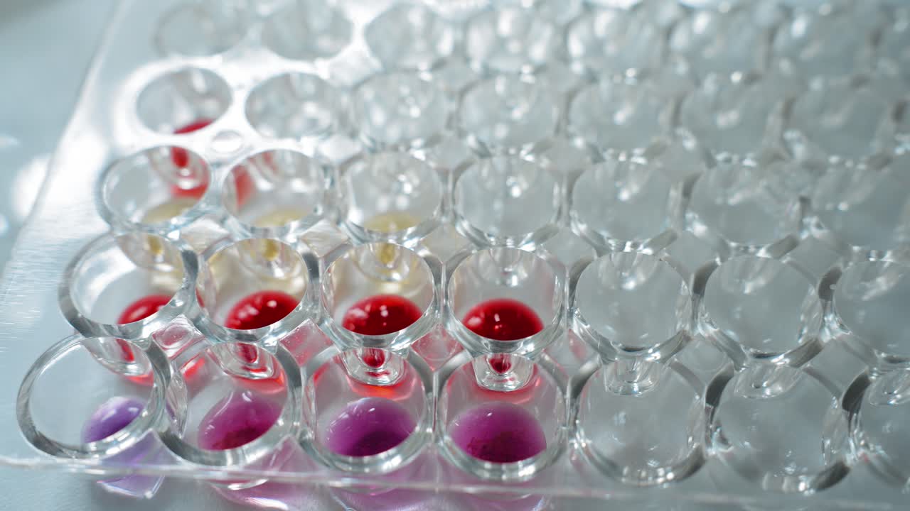 Multiwell Plate with Colored Solutions