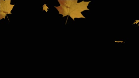 abstract autumn background falling maple leaf and dry leaf 3d loop animation romantic season