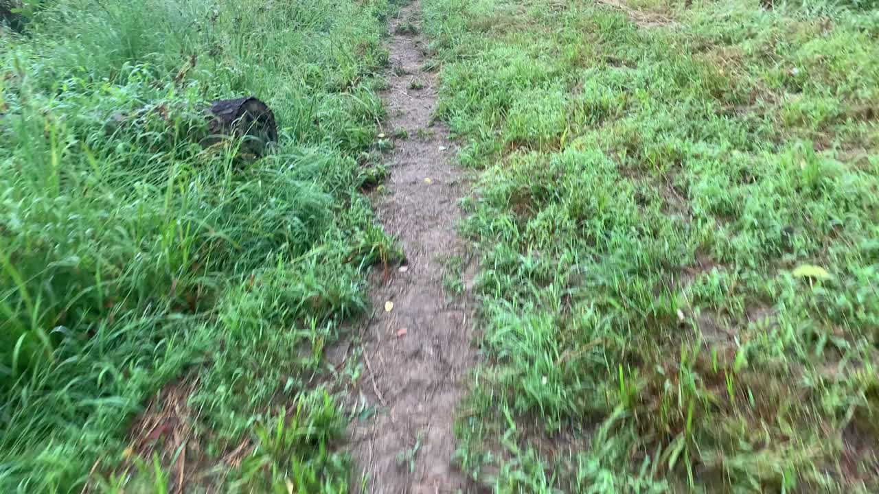 단일 트랙 트레일에서 는 것