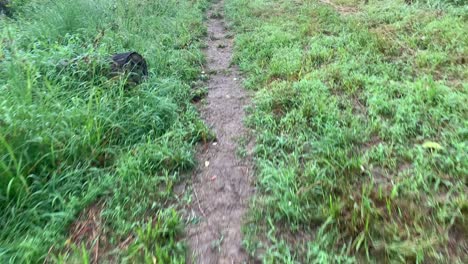 Walking on Single Track Trail
