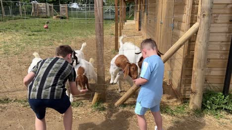 boys feeding goats at farm attraction