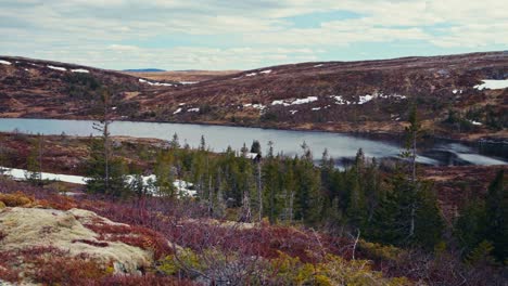 tranquil scenery of reinsjoen lake of norway - wide shot