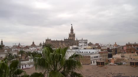 Palme,-Die-In-Zeitlupe-Im-Wind-Weht,-Mit-Blick-Auf-Die-Stadt-In-Der-Ferne