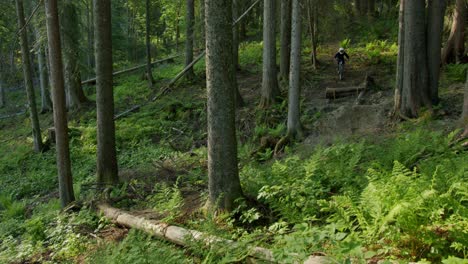 Ciclista-De-Montaña-Da-Un-Salto-Y-Cabalga-A-Través-De-Un-Bosque-Exuberante