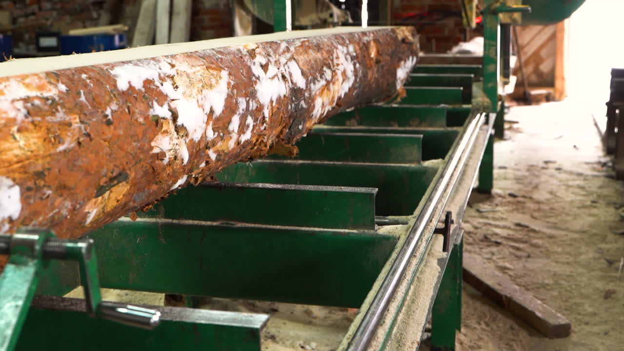 registro de pino cubierto de nieve en la sierra en el aserradero para su procesamiento en tablones