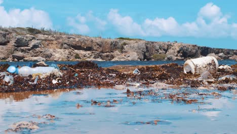 plastic pollution littered on beach with sargassum seaweed bloom, caribbean