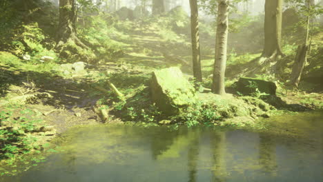 serene forest landscape with a tranquil pond surrounded by lush greenery