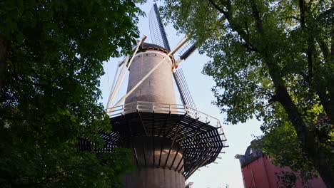 molen 't slot behind dense tree foliage in gouda, netherlands