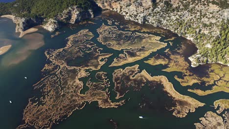 vista aérea de dalyan delta turquía