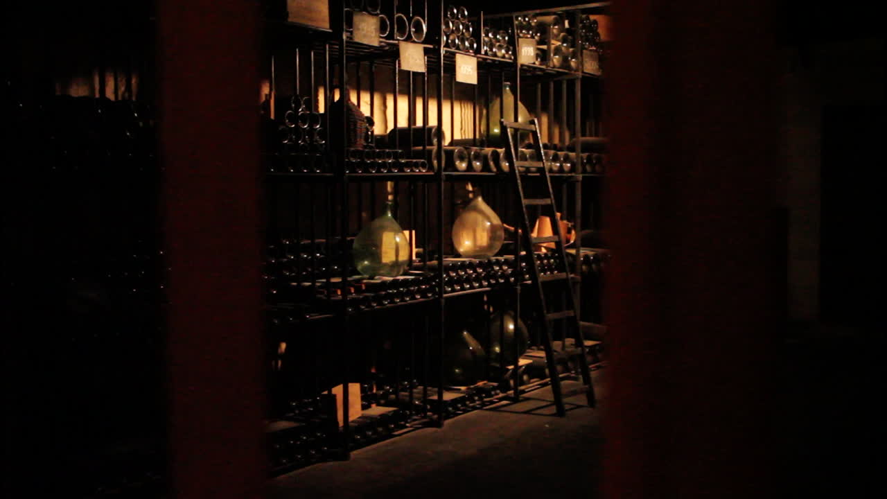 A wine cellar with bottles and a ladder