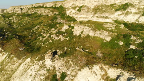 aerial view of rocky cliff face with vegetation