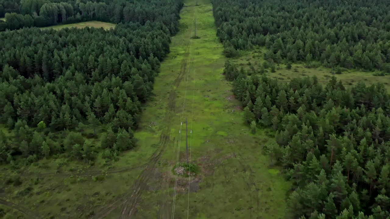 Drone View of a Large Forest in Estonia with Sea in the Background - Tilt Shot and Dolly Shot