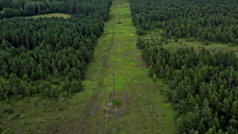 drone view of a large forest in estonia with sea in the background - tilt shot and dolly shot