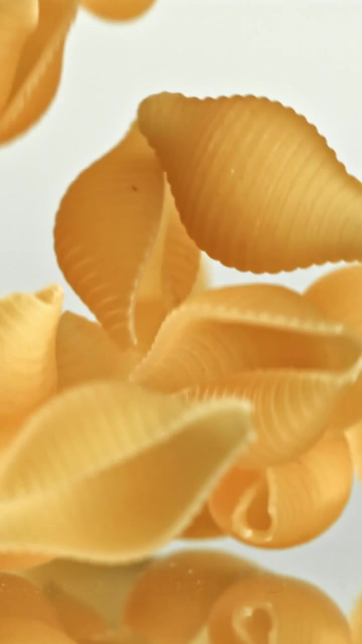 Conchiglie che cadono al rallentatore su sfondo bianco